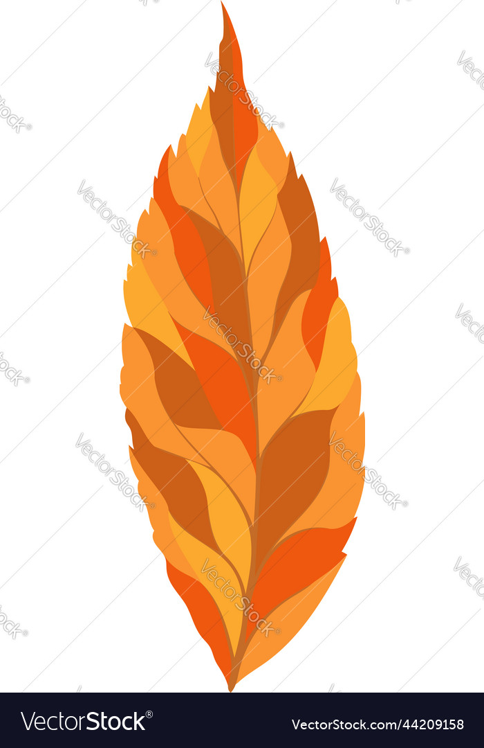 Ash Tree Leaf Royalty Free Vector Image Vectorstock 6805