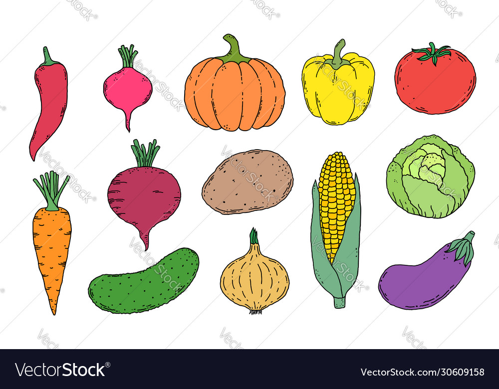 Hand drawn vegetables icons