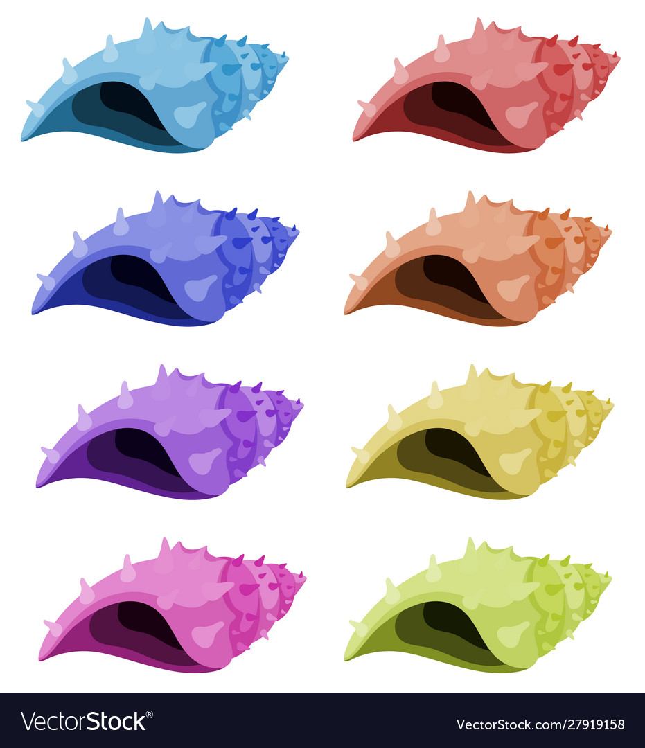 Set isolated seashells in different