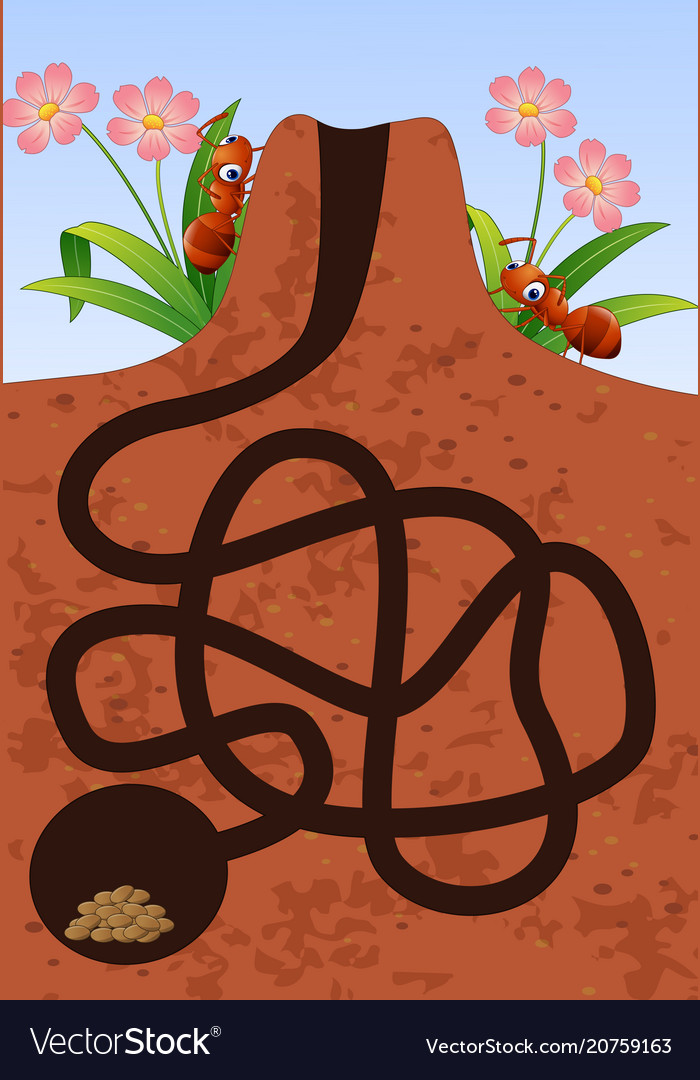 Game maze help the ants find house Royalty Free Vector Image