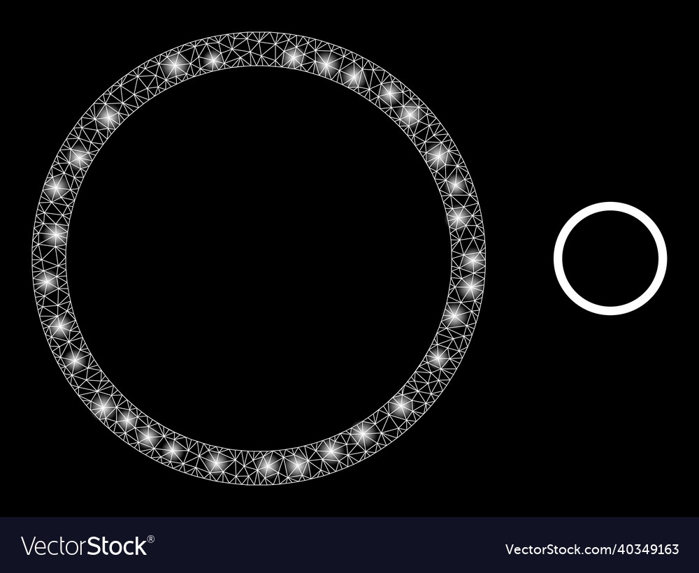 Mesh net contour circle with glitter vector image Mesh net contour circle with glitter