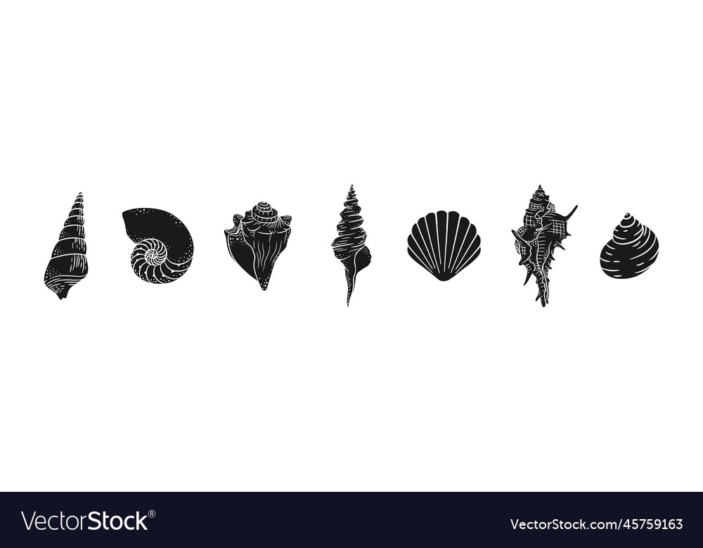 Seashell silhouette set aquatic marine graphics