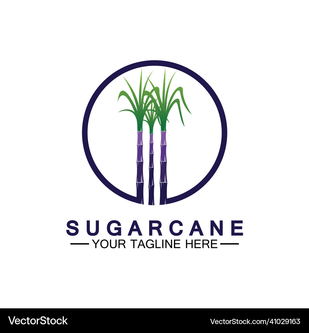Sugar cane logo icon symbol design template Vector Image