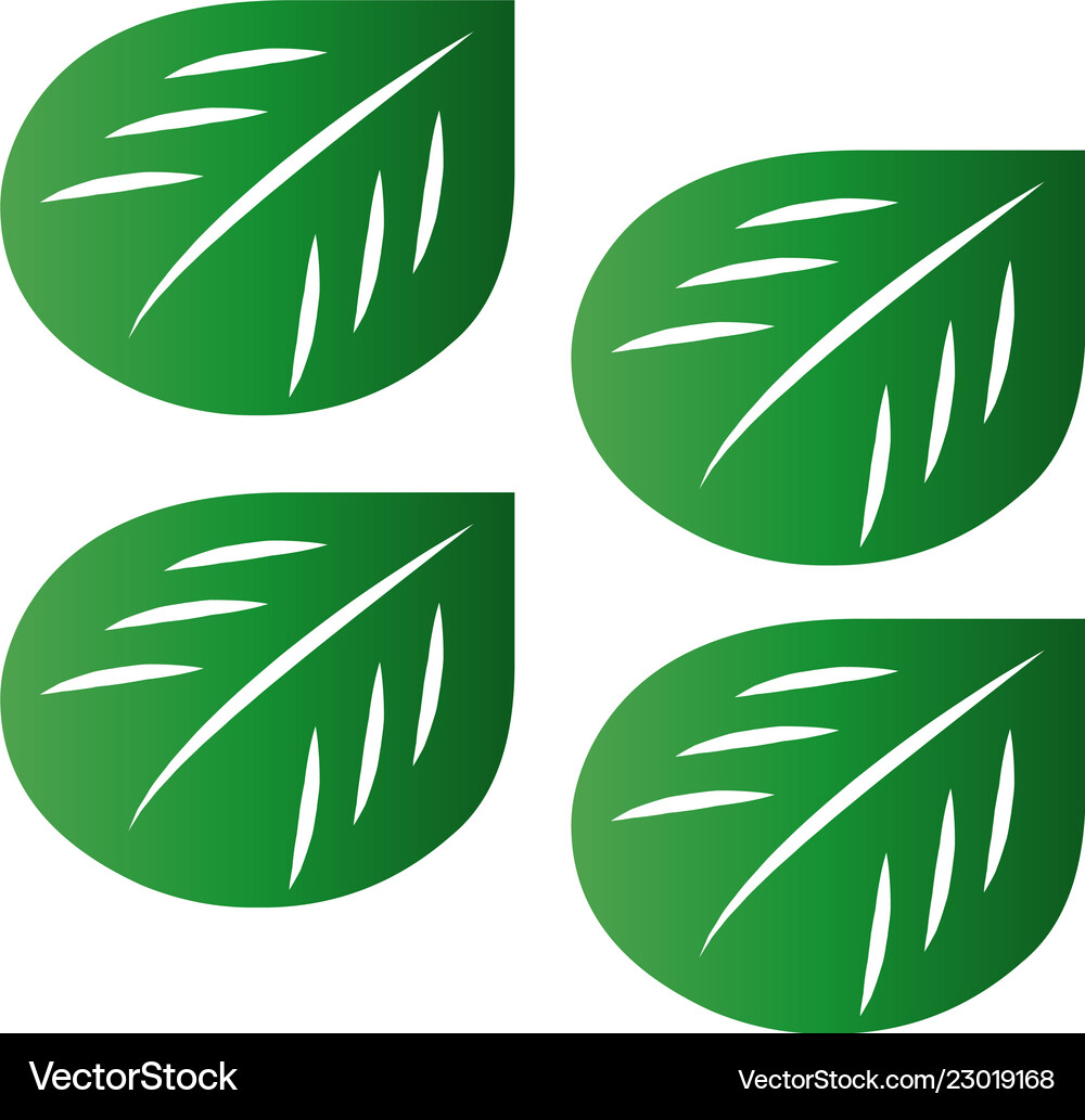 Green leaf on background Royalty Free Vector Image