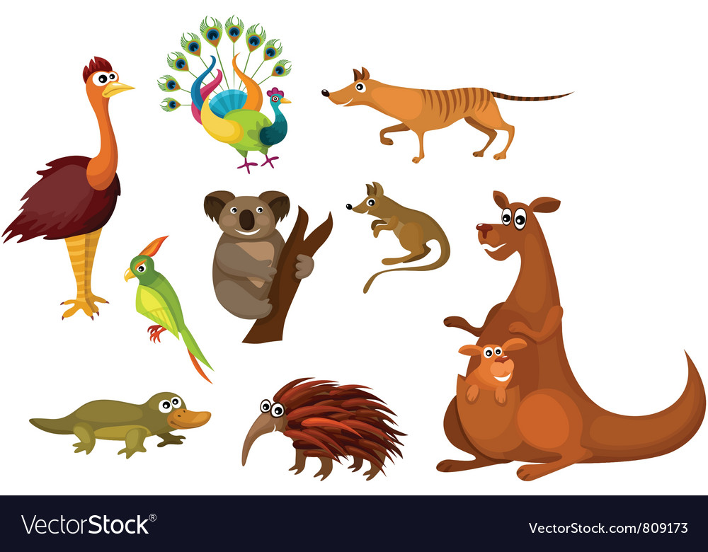 Download Australian animals Royalty Free Vector Image - VectorStock