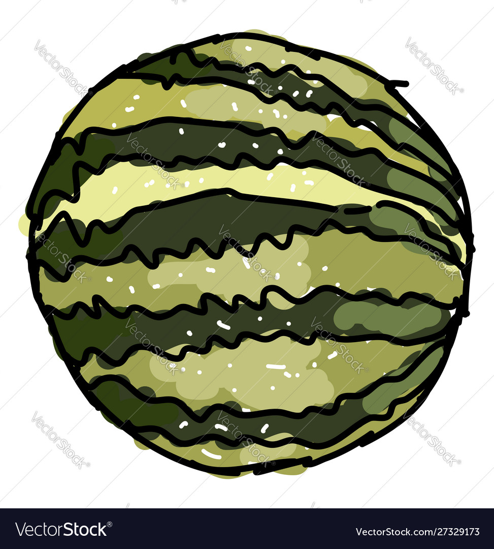 Big watermelon on white background