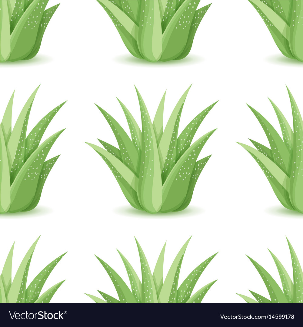 Agave - seamless pattern