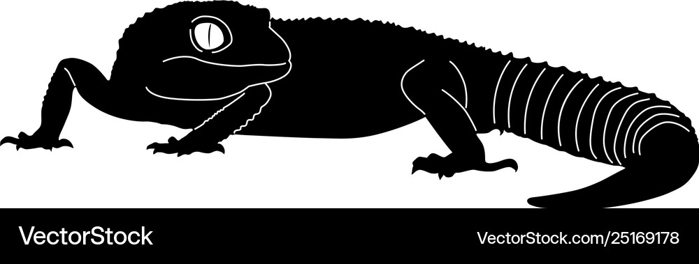 Gecko Raster Gecko eps Royalty Free Vector Image - VectorStock
