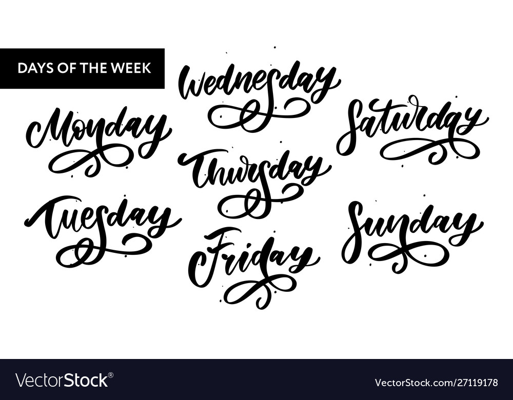 Handwritten week days and symbols set ink font Vector Image