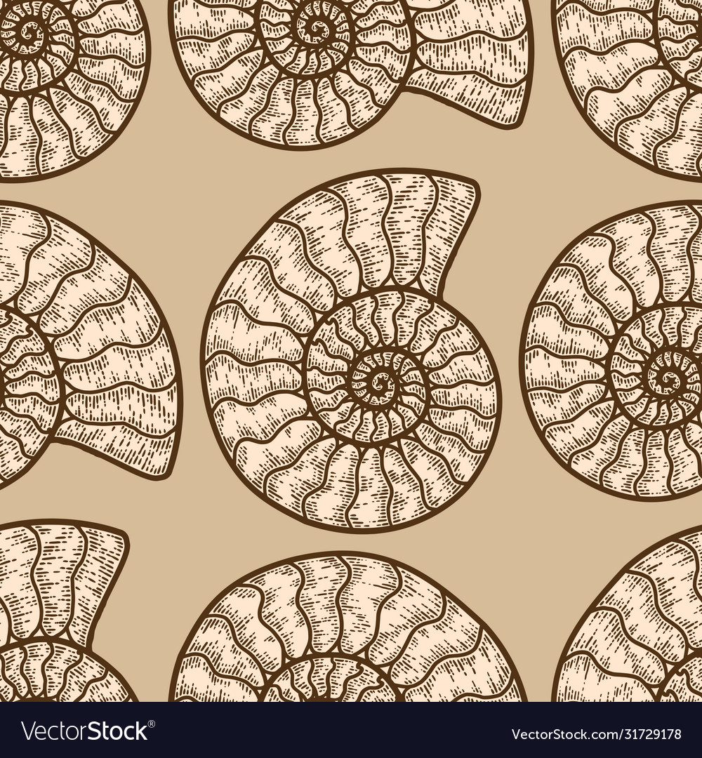 Nautilus Shell Pattern - Beige & Brown