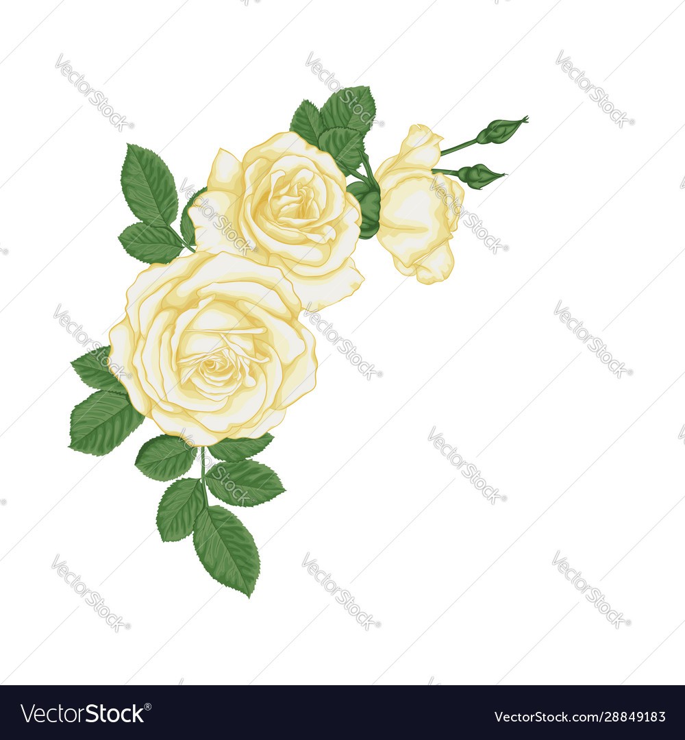 Beautiful bouquet with white roses and leaves