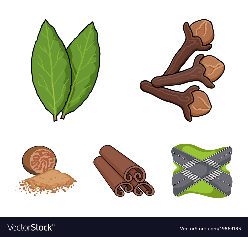 Clove bay leaf nutmeg cinnamonherbs and spices