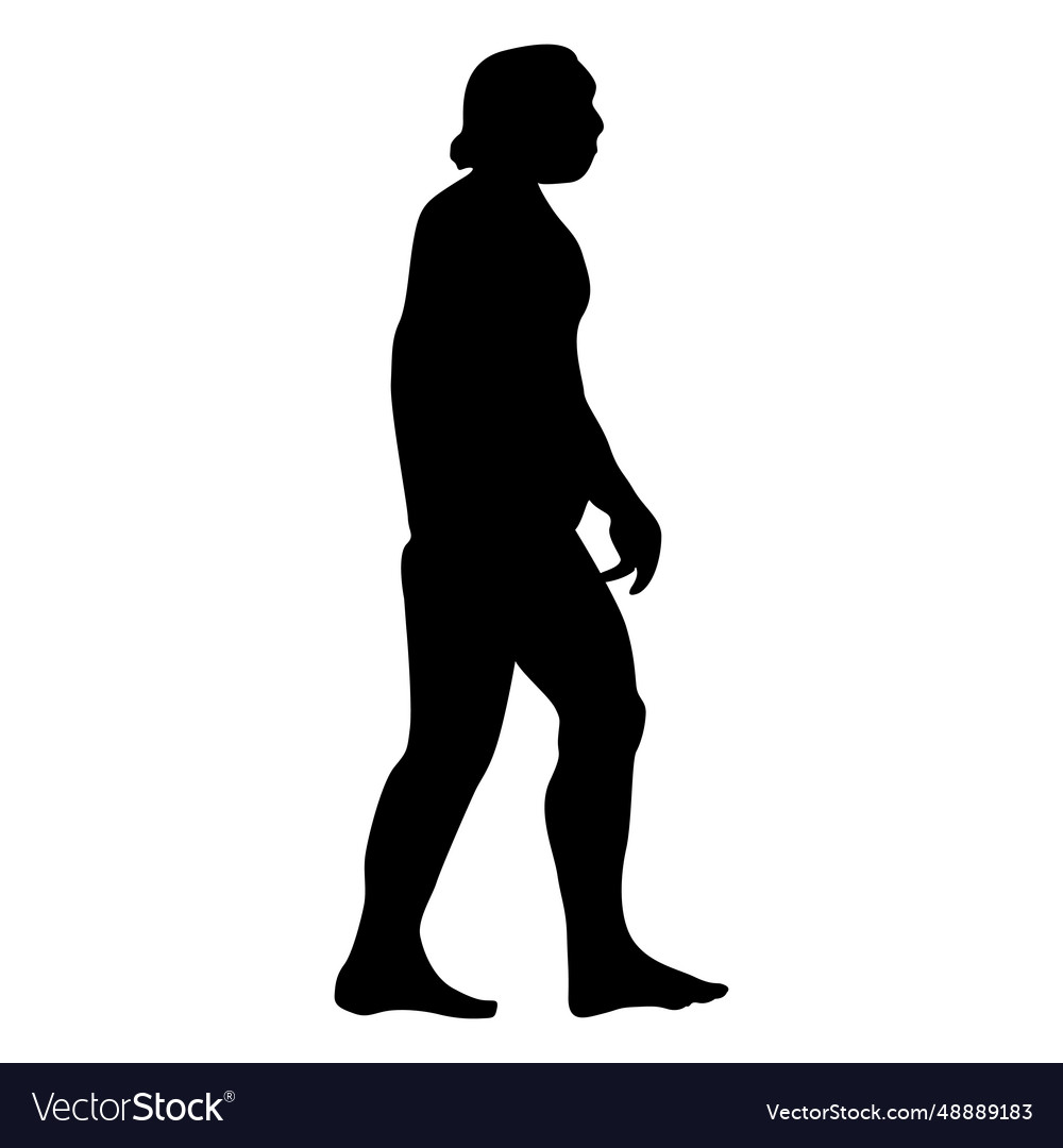 Human evolution 4