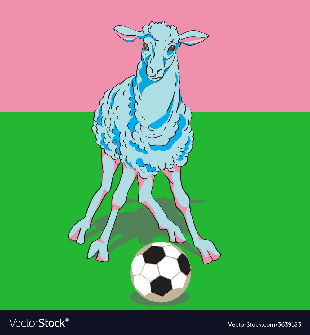 Sheep playing football