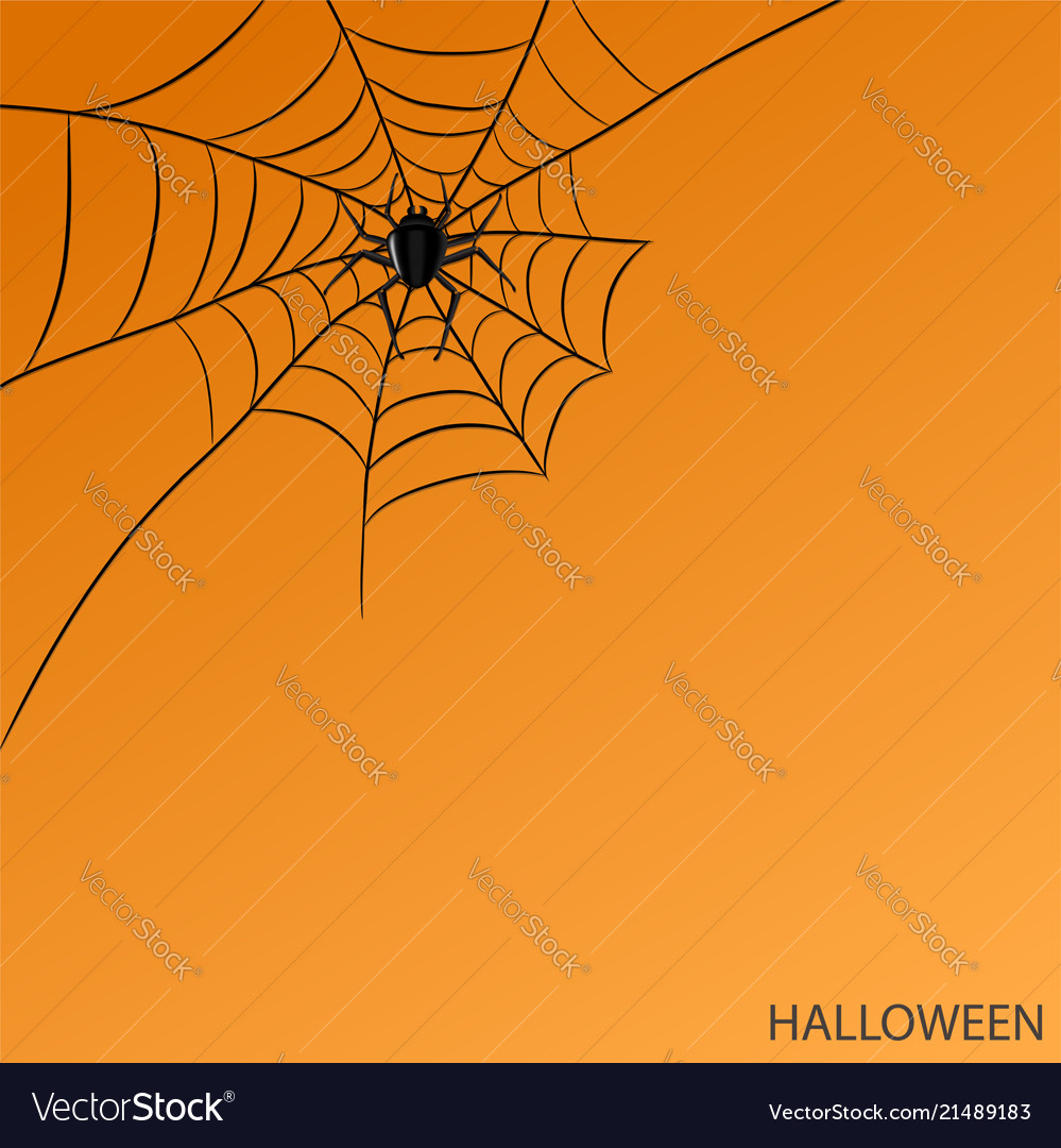 Spider on web on halloween orange background Vector Image