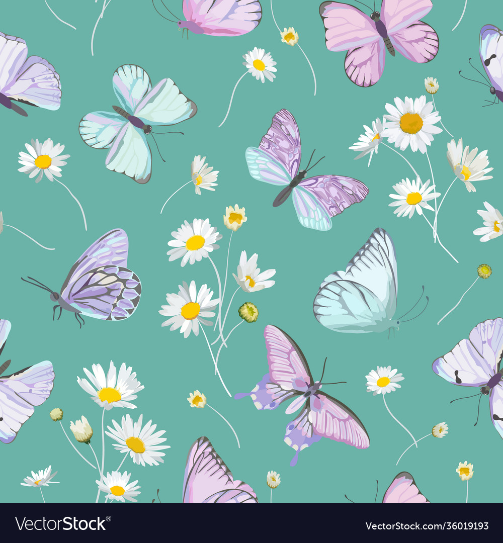 Daisy flowers and butterfly background Royalty Free Vector