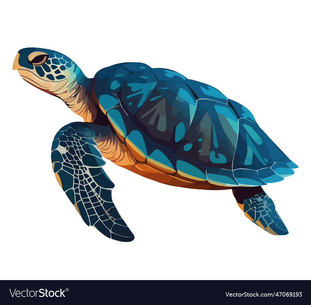 Slow sea turtle crawls on blue Royalty Free Vector Image