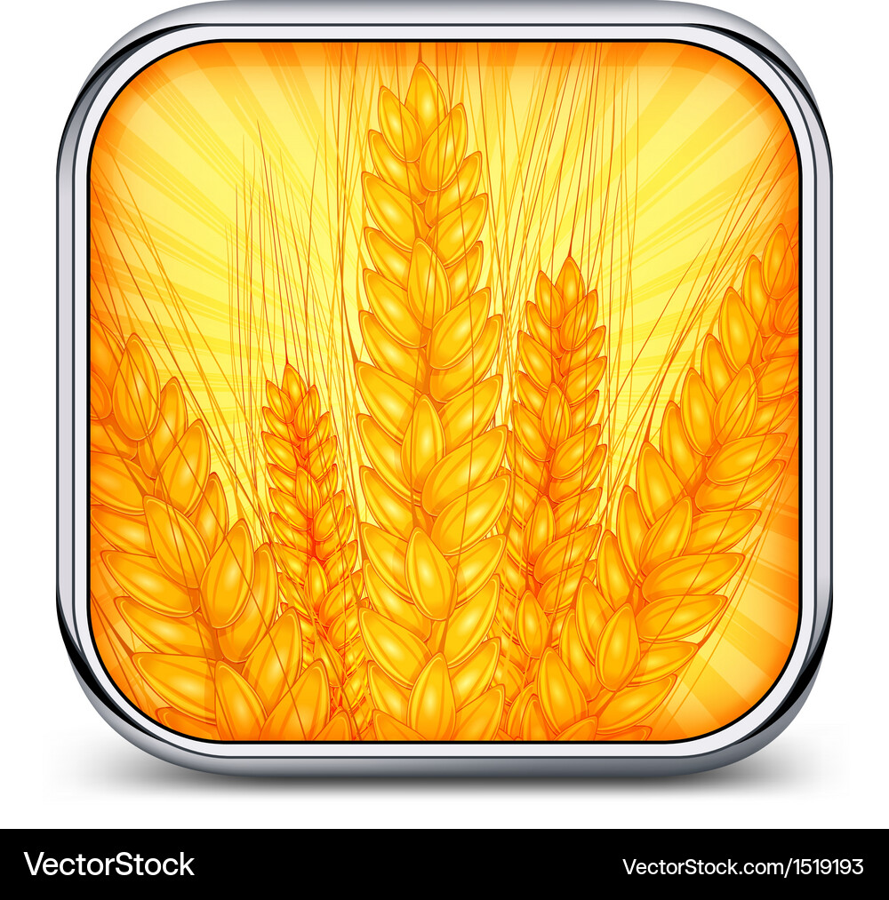 Wheat Ear Icon Royalty Free Vector Image - VectorStock