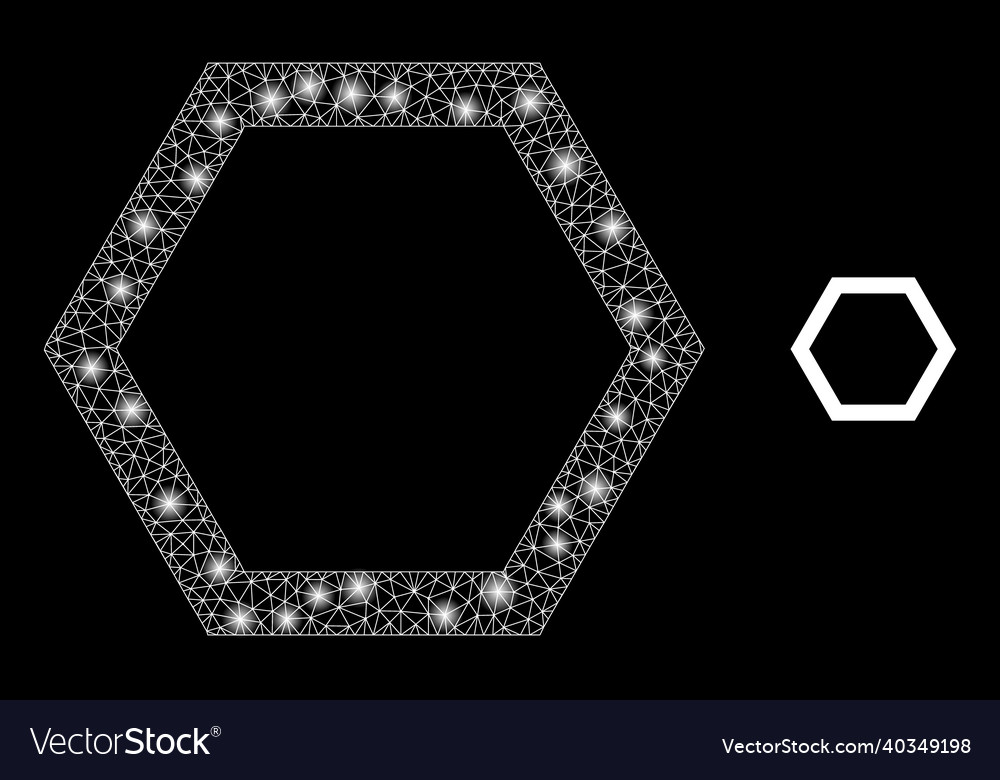 Mesh net empty hexagon with majestic vector image Mesh net empty hexagon with majestic