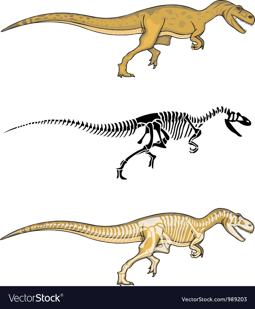 skeleton allosaurus