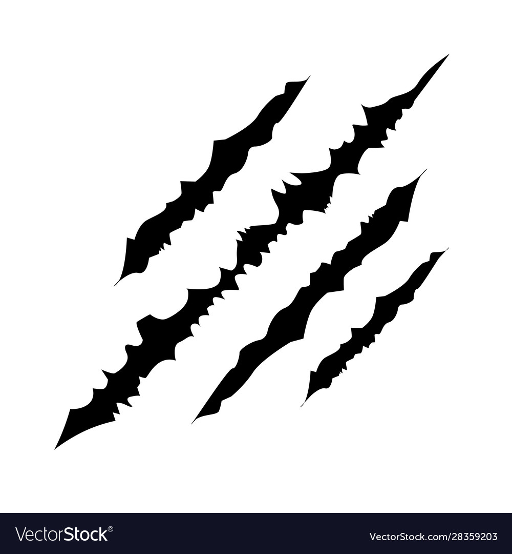 Animal Claw Scratches