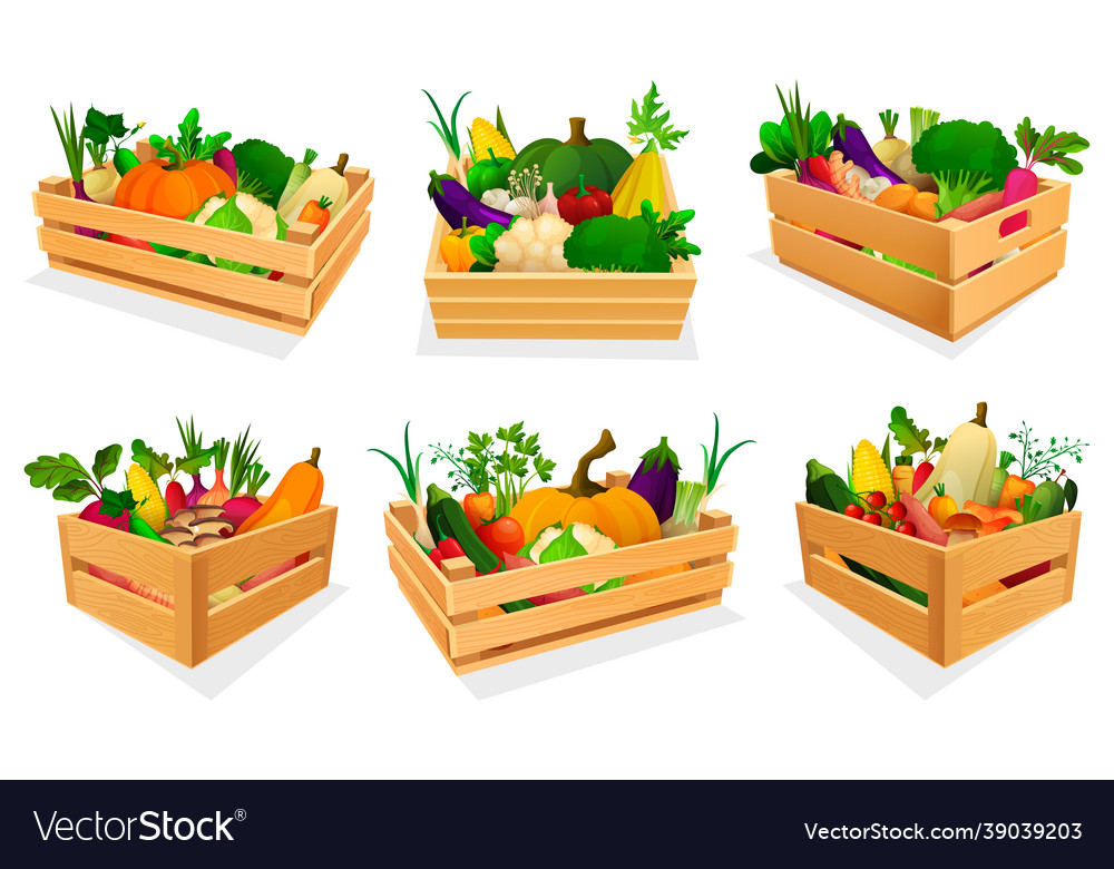 Fresh Vegetable Boxes - Assortment