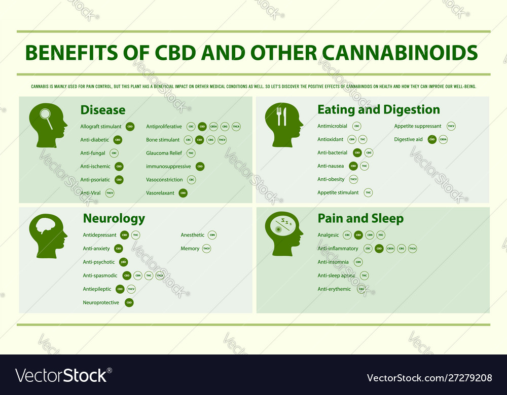 Benefits Cbd And Other Cannabinoids Horizontal Vector Image