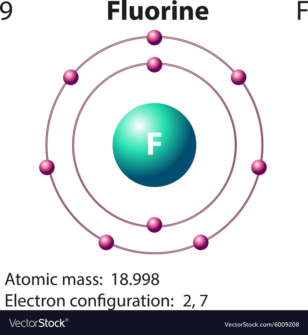 Diagram Representation Of The Element Fluorine Vector Image