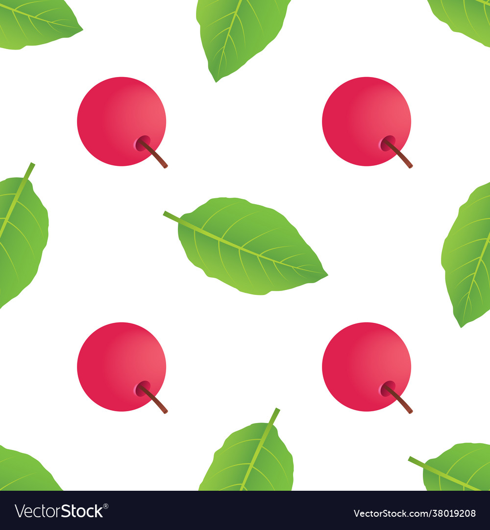 Seamless pattern with berries 1