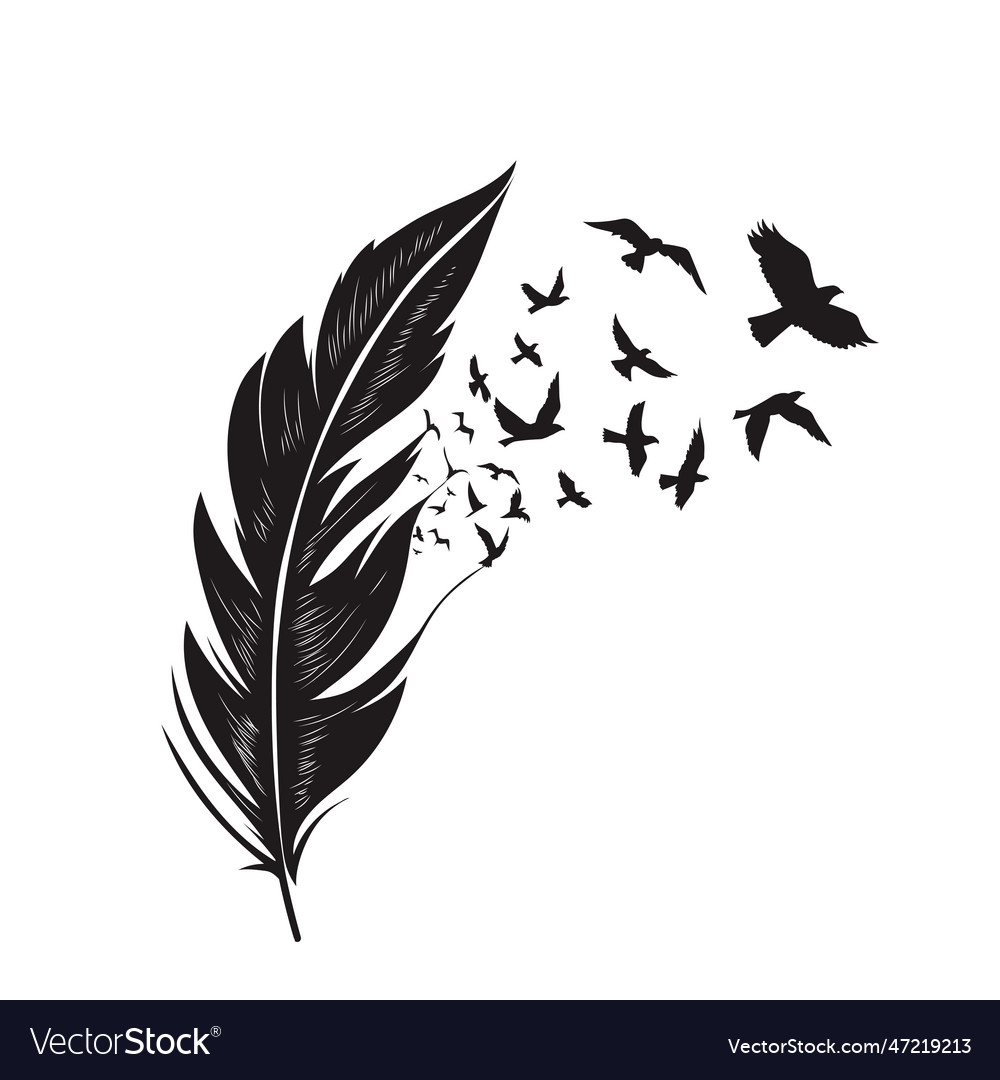 Feathers with free flying birds Royalty Free Vector Image