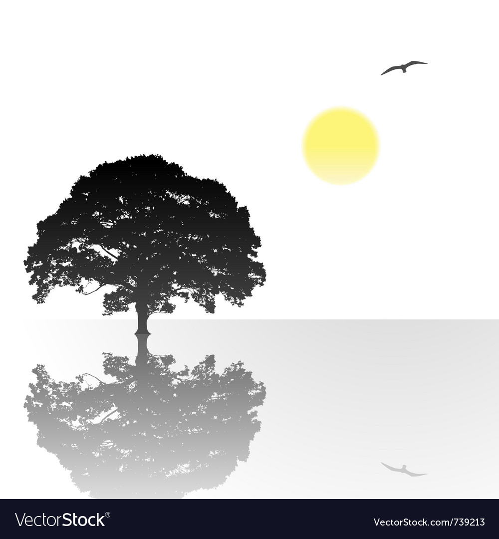 Lone tree with reflection