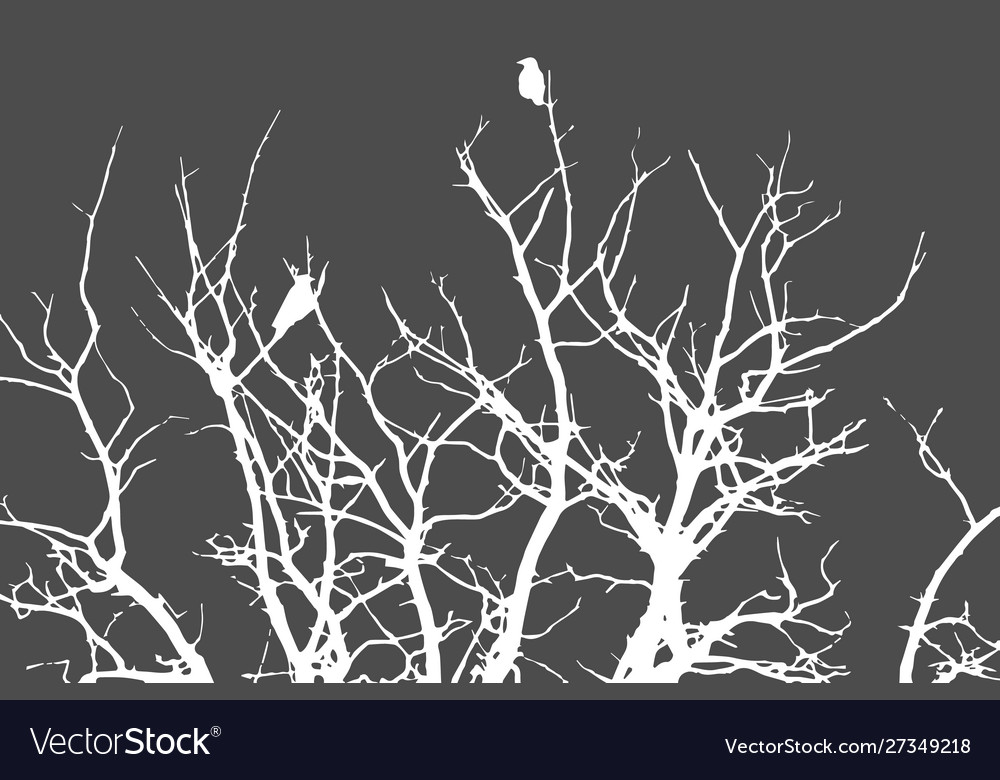 Crows sitting on a tree