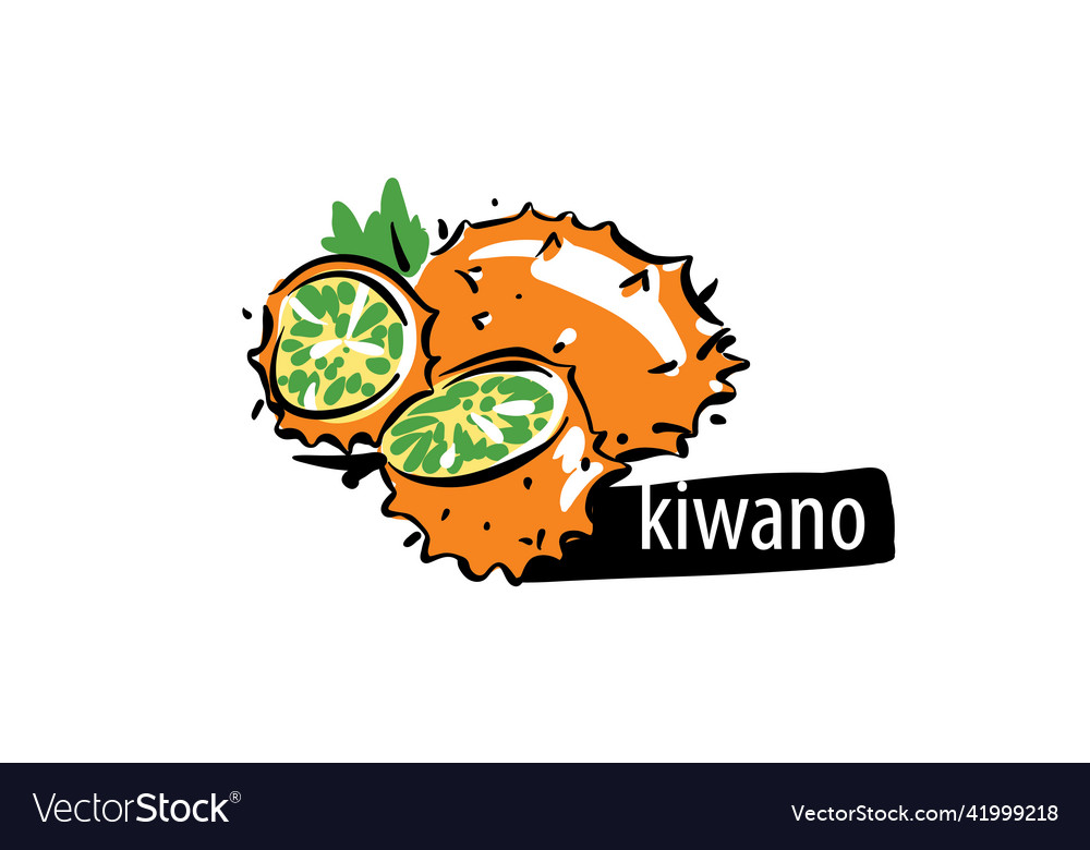 Drawn kiwano isolated on a white background