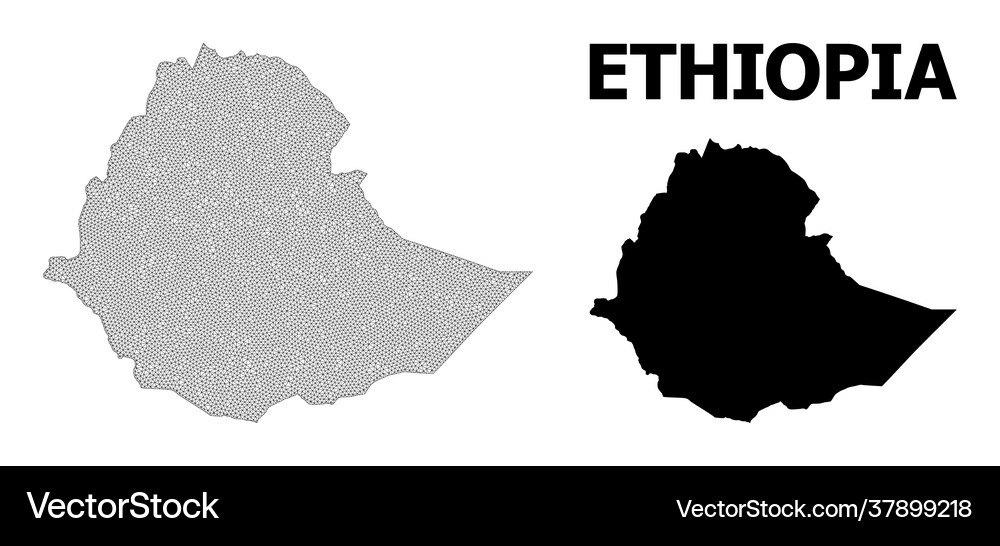 Polygonal network mesh high resolution map Vector Image
