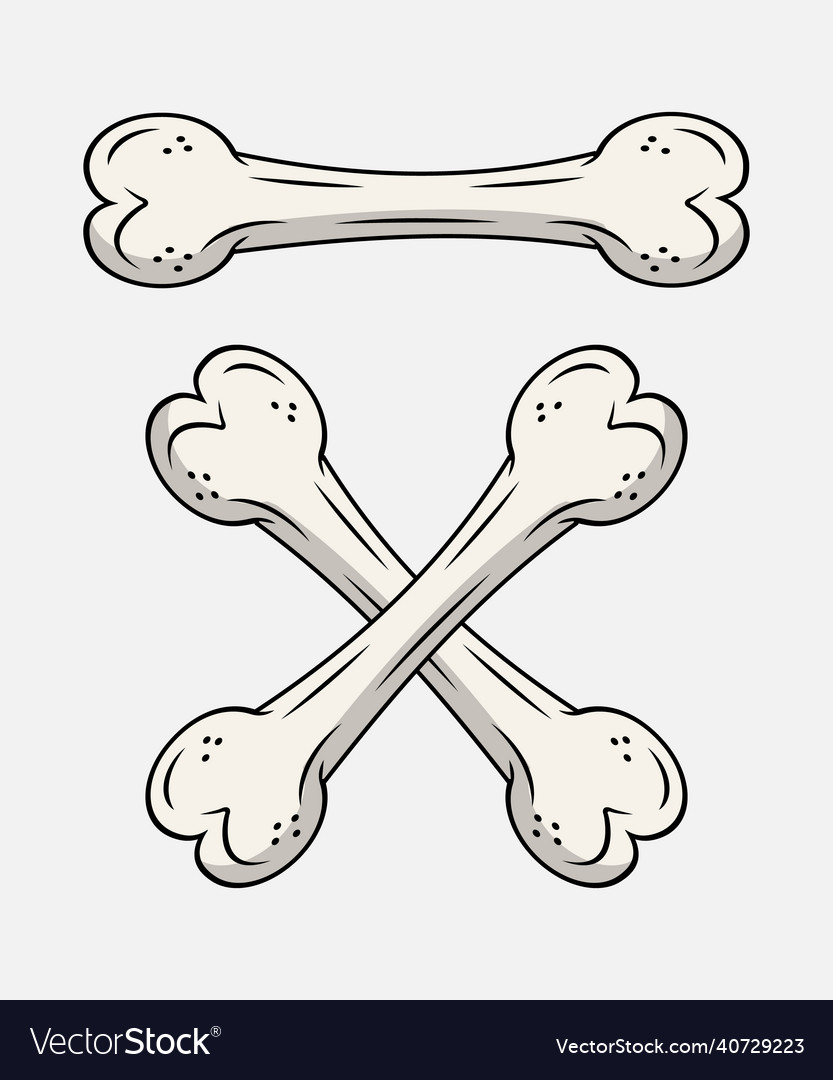 Broken bone bone fracture crack and trauma Vector Image Broken bone bone fracture crack and trauma Vector Image