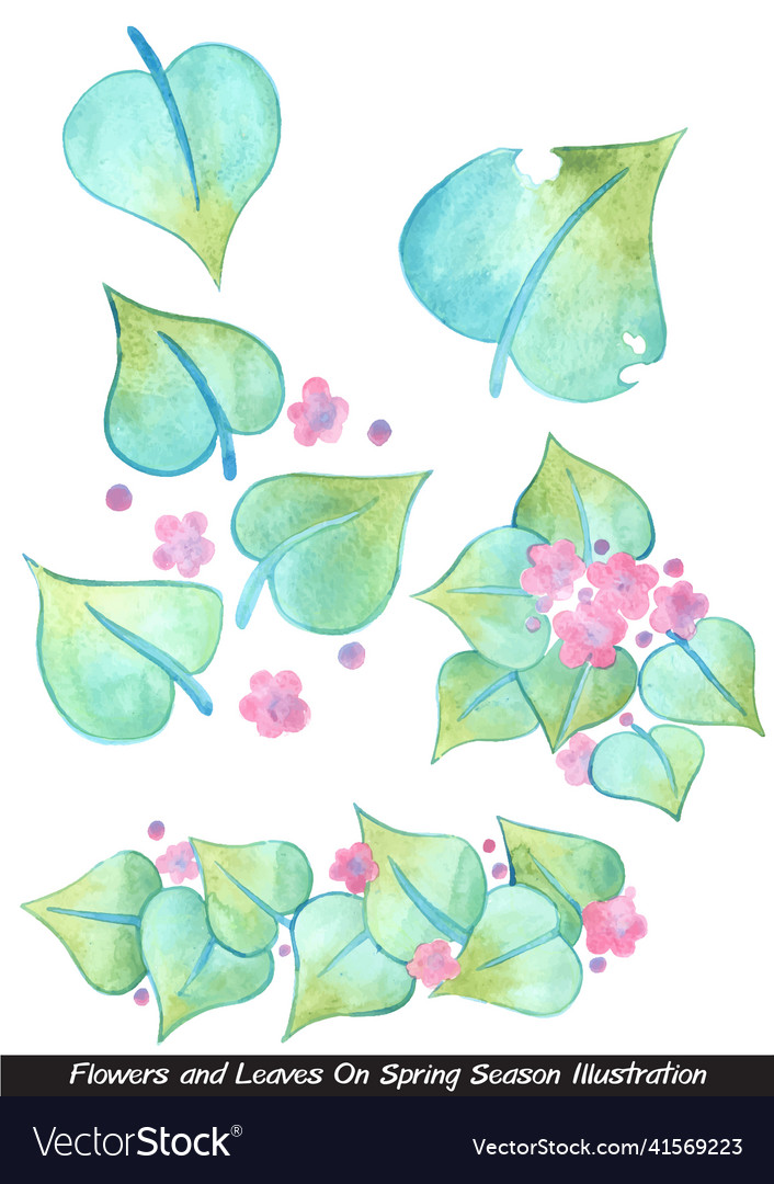 Spring ivy leaves and flower watercolor