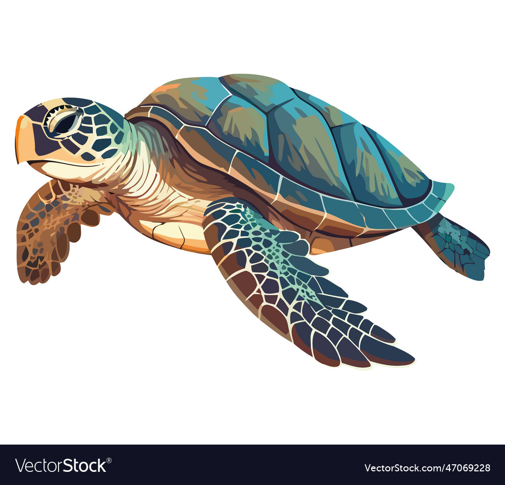 Slow aquatic reptile with cute tortoise shell Vector Image