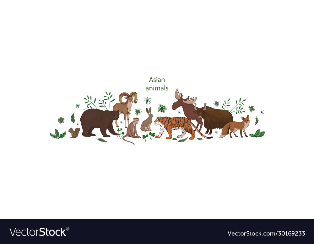 Banner cartoon cute asian animals