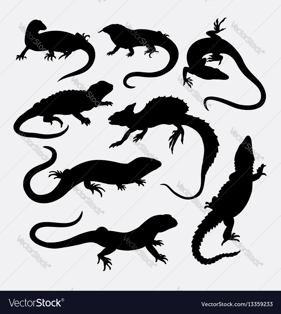 Lizard reptile animal silhouette Royalty Free Vector Image