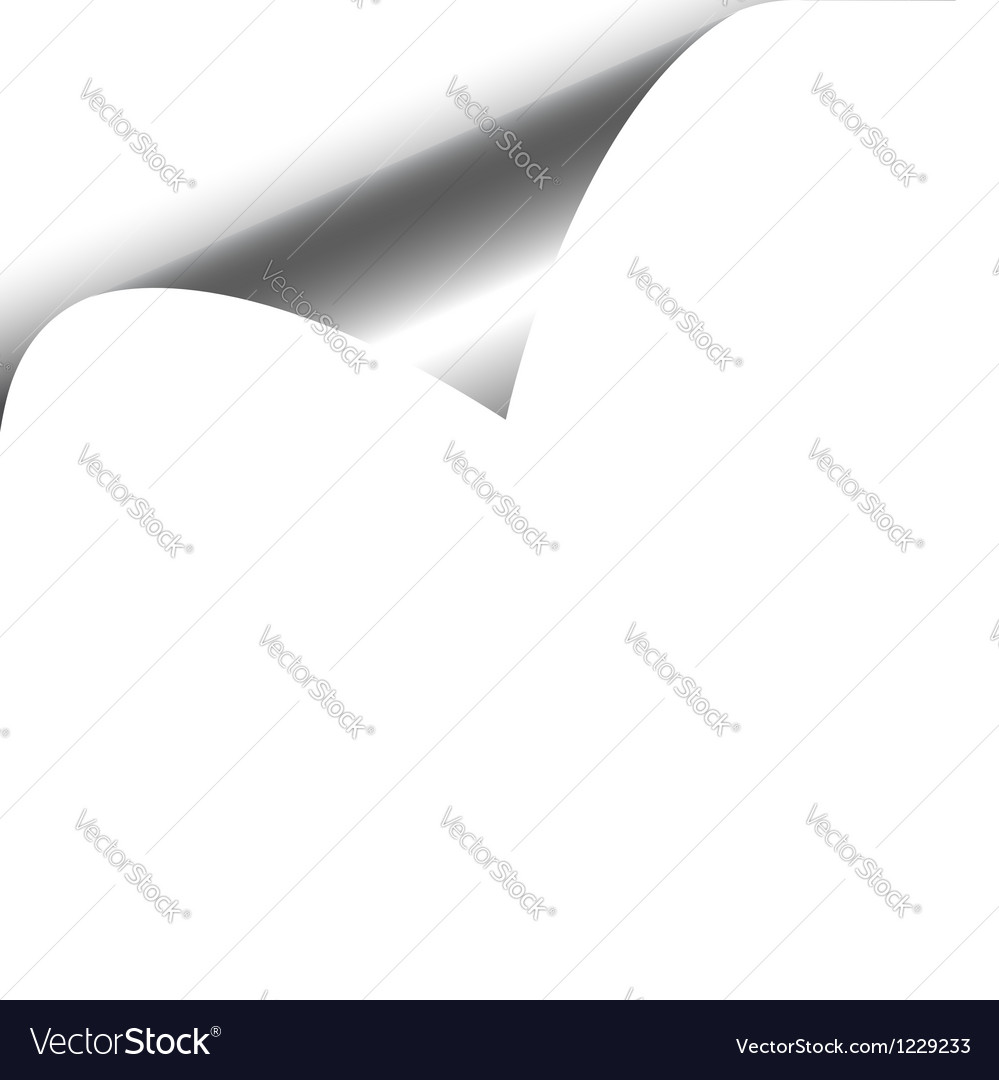 White Paper Curl