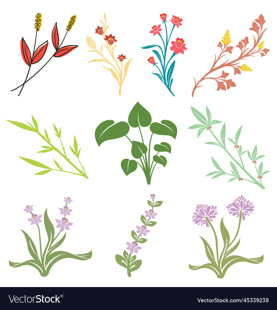 Beautiful boho flower collections Royalty Free Vector Image