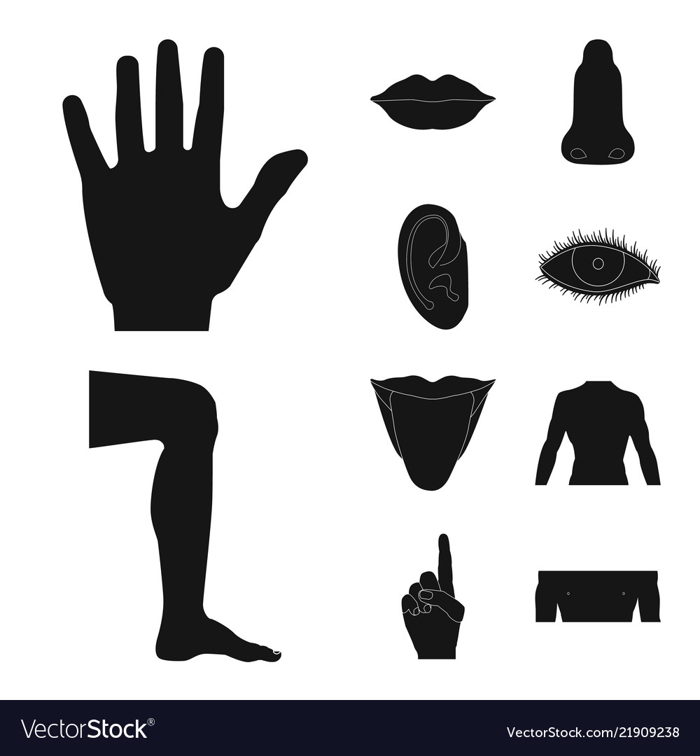 Design of human and part icon collection