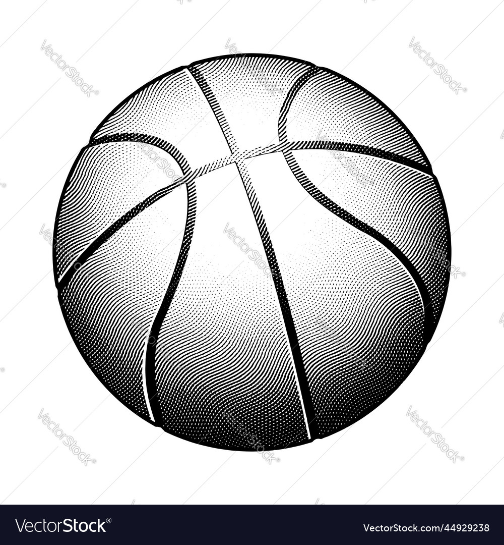 Scratchboard engraved basketball Royalty Free Vector Image
