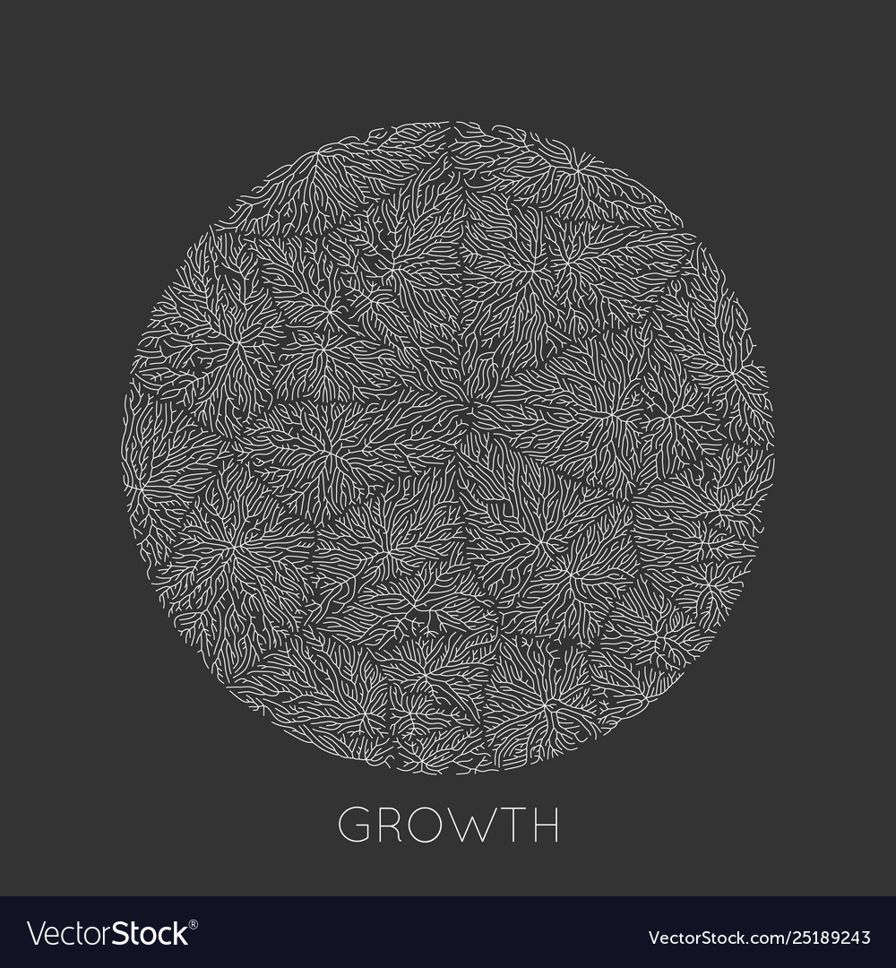 Branch Growth Pattern - Round Texture