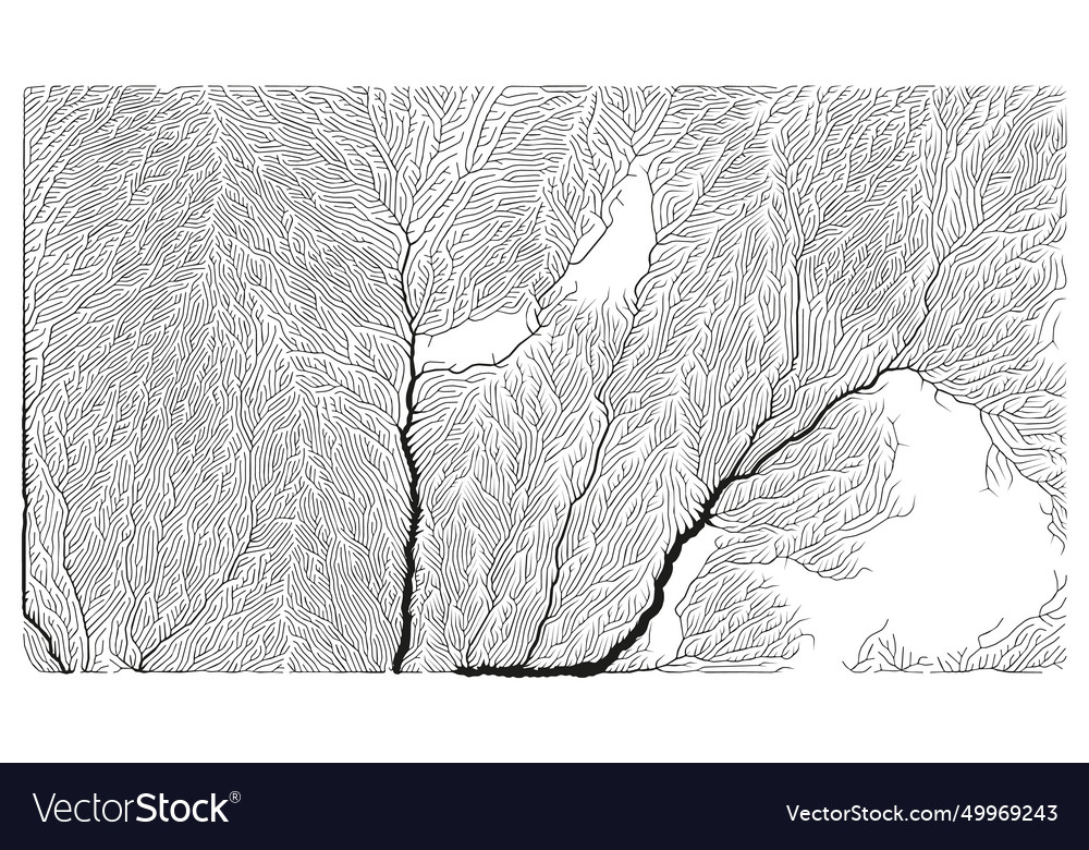 Growth pattern generative branching structure