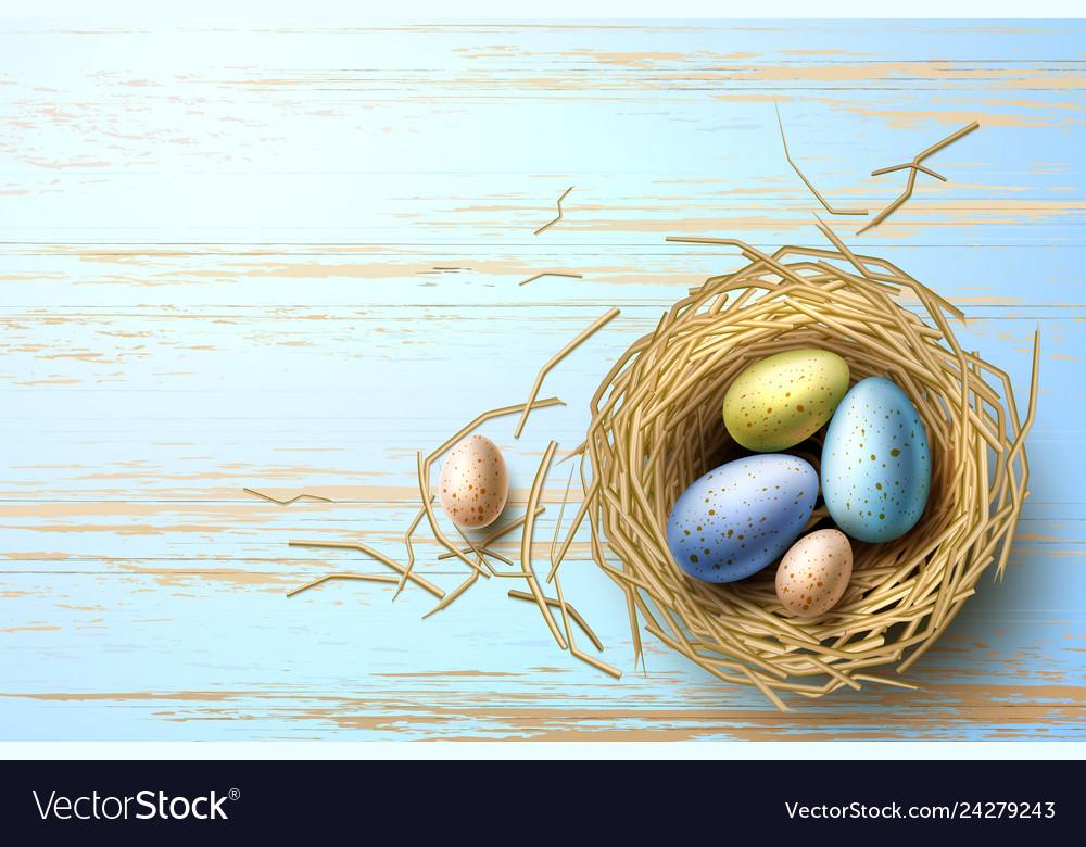 Quail chicken eggs in nest easter holiday vector image Quail chicken eggs in nest easter holiday