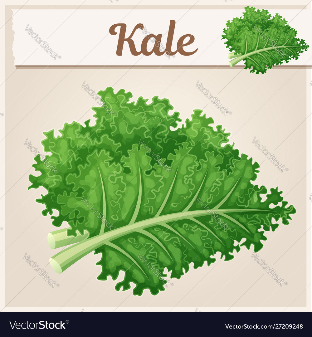 Kale Icon