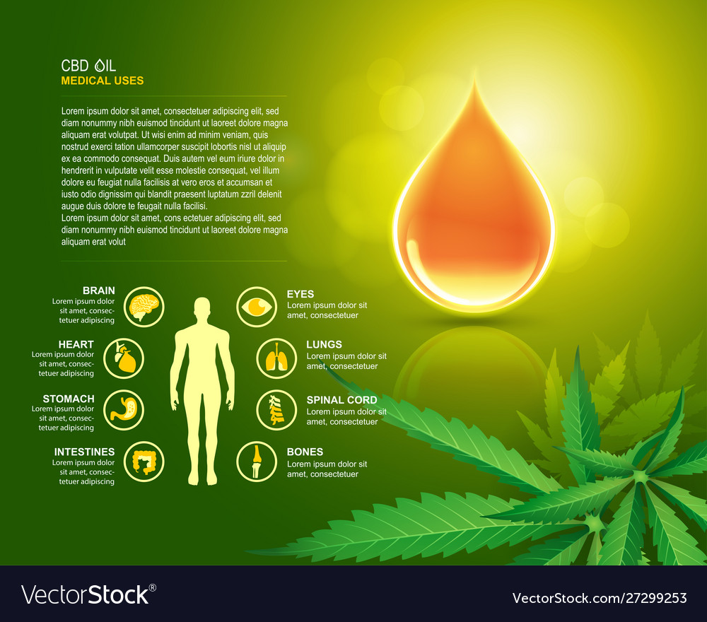 Cbd Oil Uses Royalty Free Vector Image Vectorstock 6584