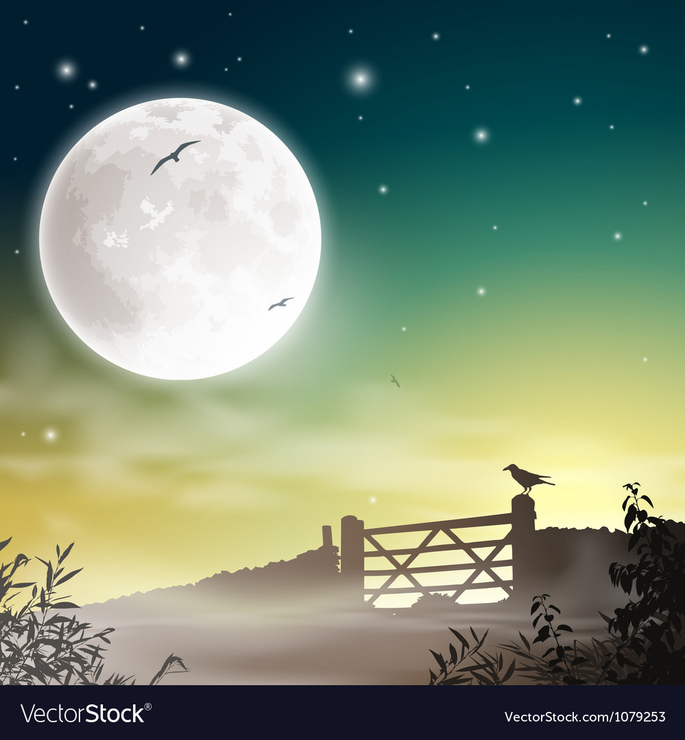Rustic Farm Gate at Night