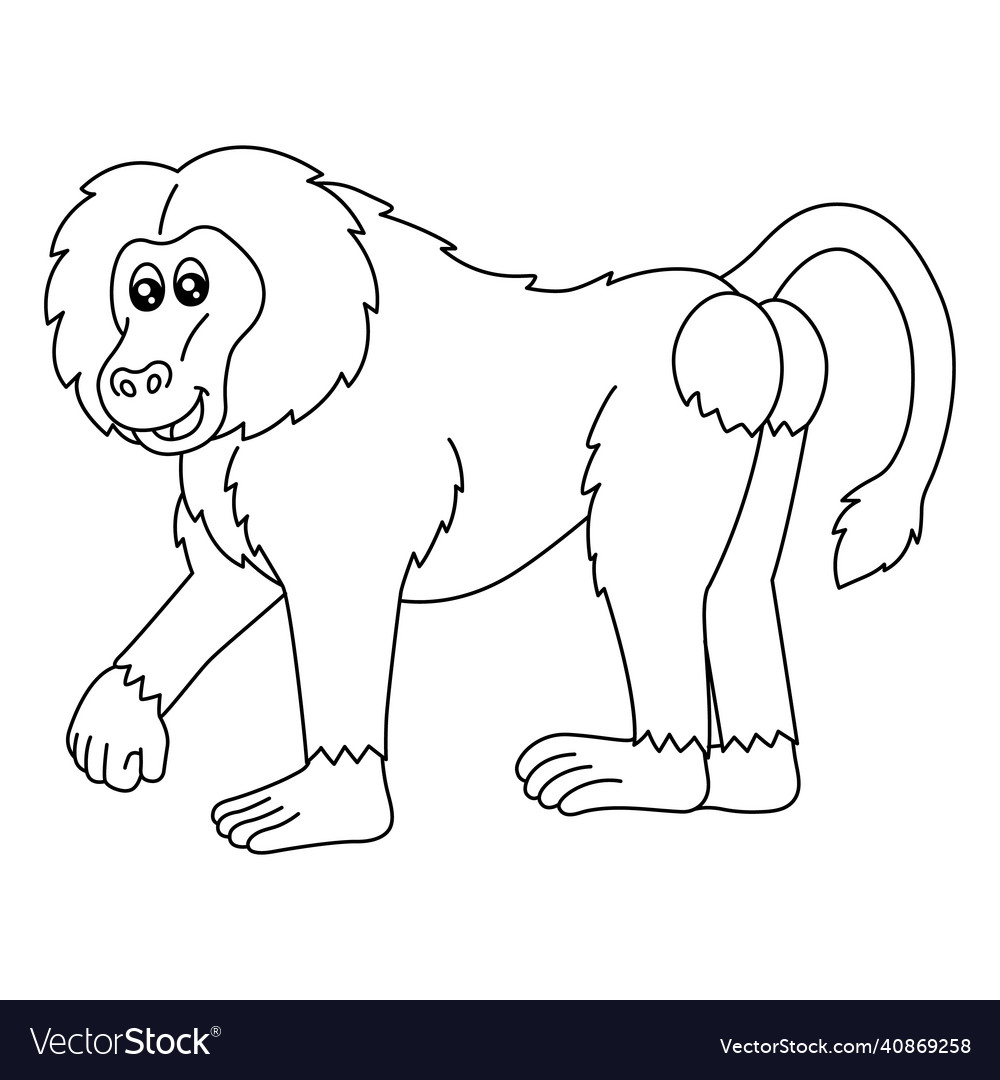 Baboon coloring page isolated for kids Royalty Free Vector